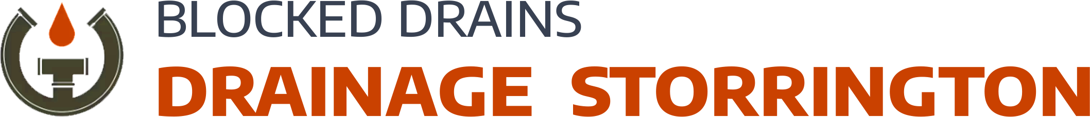 website logo